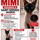mimi