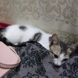 no name