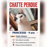 princesse