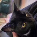 Zo&eacute;