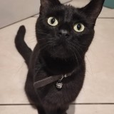 Binx