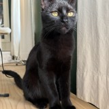 luna