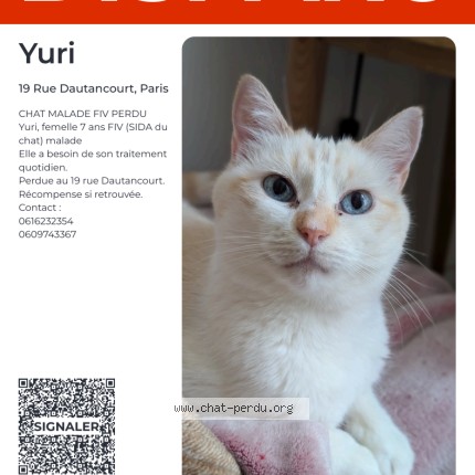 Photo of a cat found in Paris