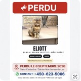 Eliott