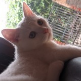 Billi AKA Christy