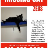 Zeus