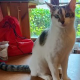 Xena