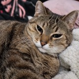 chloe