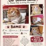 Bamsi