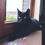 Salem