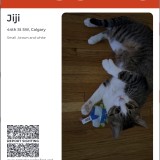 jiji