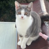 Ma&euml;ra