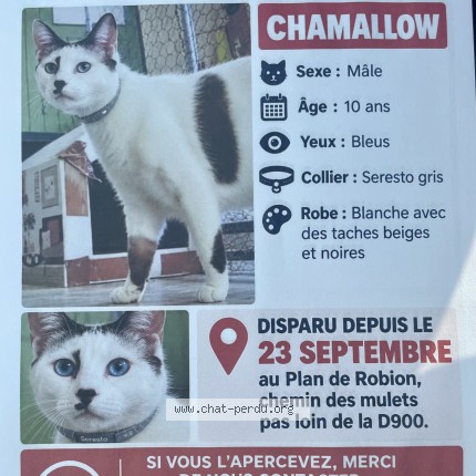 Photo of a cat found in Robion