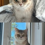 Stormi