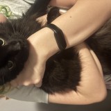 Juniper