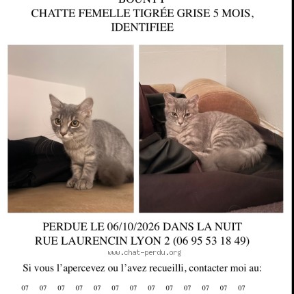 Photo of a cat found in Lyon