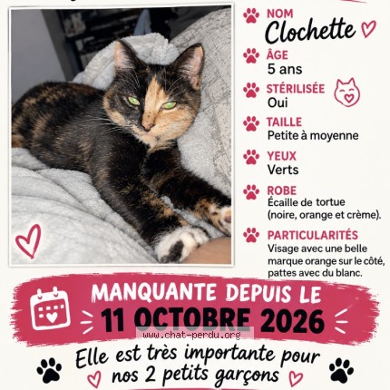 Photo 1/1 clochette Cat lost in Saint Jerome