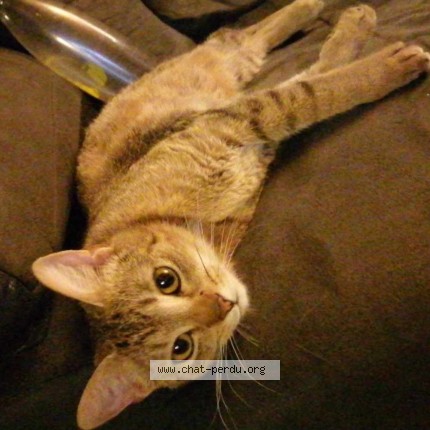 Foto 2/5 Bj&ouml;rn Kat vermist in Grupont