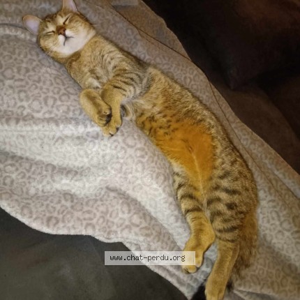 Foto 3/5 Bj&ouml;rn Kat vermist in Grupont